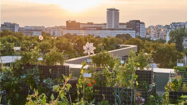 image of Yooma Paris15 Ferme Urbaine, spot of Nature Urb