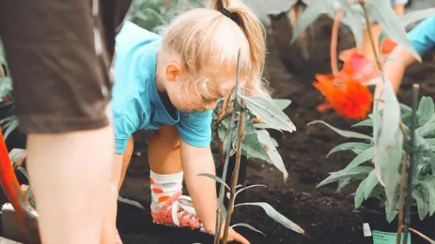 image of Se relayer pour entretenir un potager urbain ¡DEMO!, event of Nature Urb